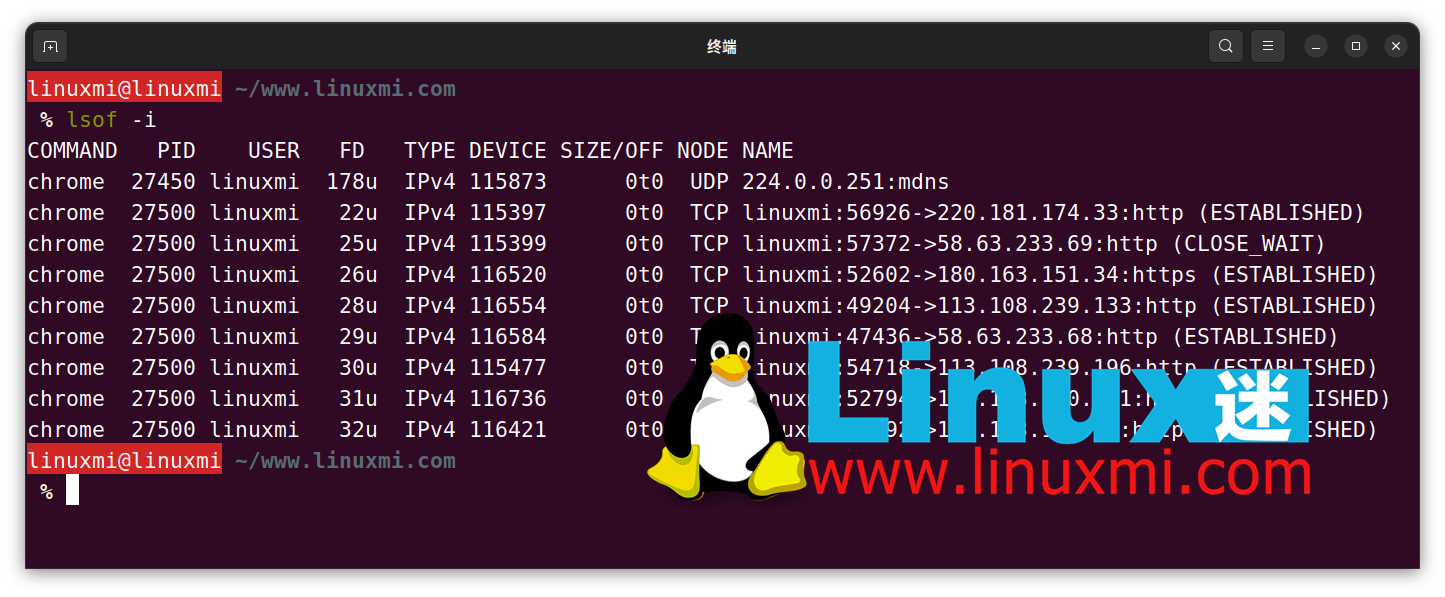 如何监控 Linux 上进程的网络使用情况