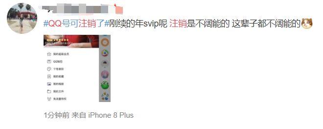 苹果手机QQ注销账号在哪 iPhone QQ为什么没有注销账号功能