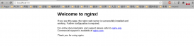 在Ubuntu系统上安装Nginx服务器的简单方法