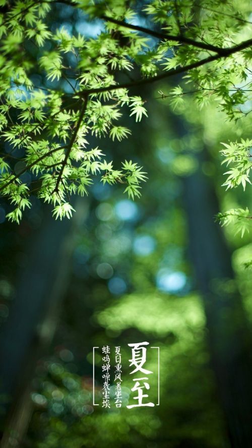 夏日风景图片花草微信壁纸大全 夏日里的清凉风景图片