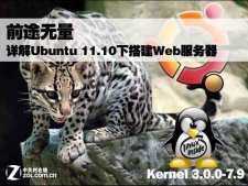 Ubuntu 11.0下配置Web服务器详细教程[ 图文]