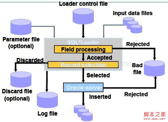 [Oracle] 常用工具集之SQL*Loader的用法