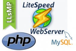LiteSpeed添加虚拟主机+支持htaccess图文教程