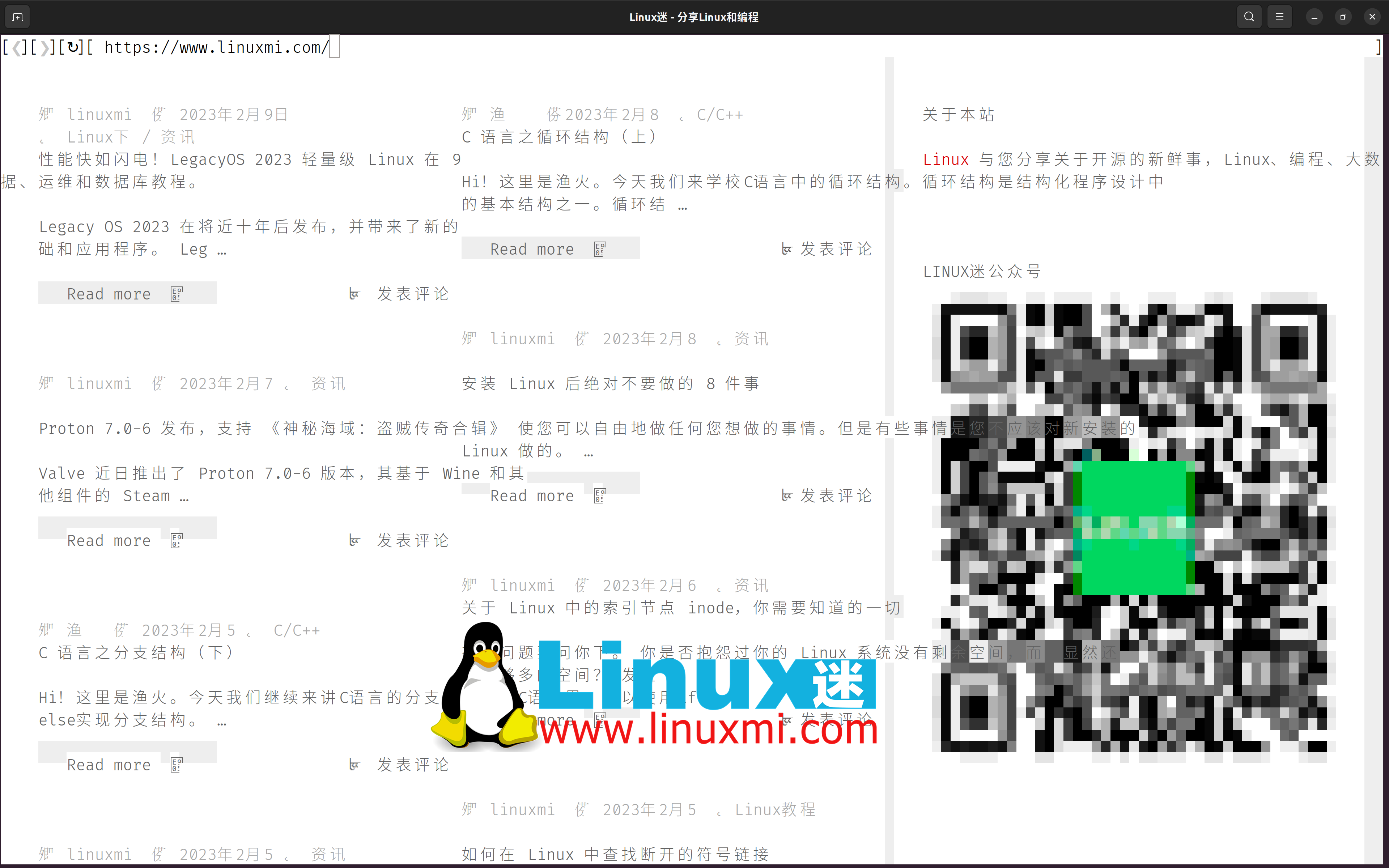 六款鲜为人知的适用于 Linux 的备选网络浏览器