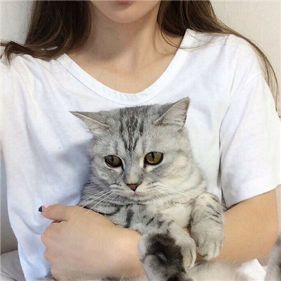 关于抱猫美女头像可爱清纯2020美女抱猫咪的头像图片