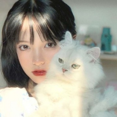 女生抱猫头像高清真人 气质美女和小猫咪头像