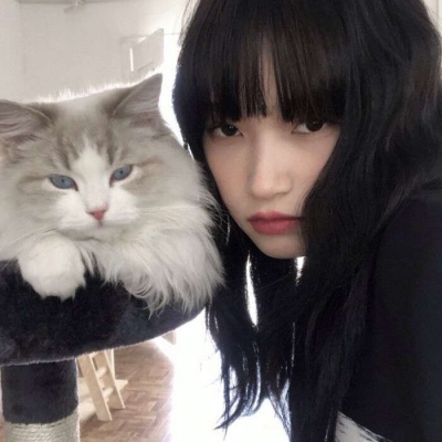 女生抱猫头像高清真人 气质美女和小猫咪头像