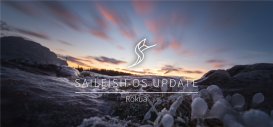 旗鱼移动操作系统Sailfish OS 3.3“Rokua”发布