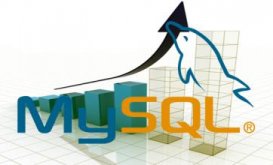 RHEL 6平台MySQL数据库服务器的安装方法