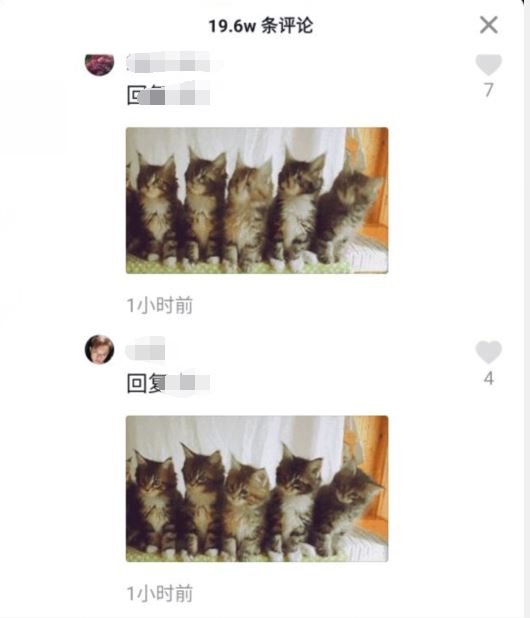 抖音五个猫咪摇头蹦迪表情评论图文教程 5猫咪摇头蹦迪gif表情怎么发