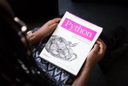 Python虽然很火找工作为什么这么难