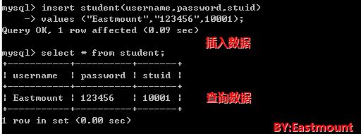 python 专题九 Mysql数据库编程基础知识