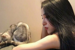 简单的微博网名女生文艺范2020最新 起司奶香猫