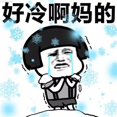 适合大雪节气的微信聊天搞笑表情包 2020二十四节气大雪的表情包