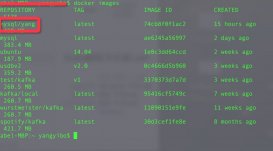 mac 中docker安装mysql的图文教程