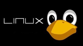 Linux 5.11 rc2 太小，Linux之父Linus：假期大家都忙着干饭