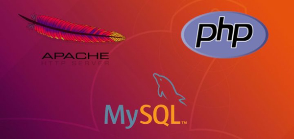 在 Ubuntu 中安装 Apache、MySQL、PHP（LAMP）套件