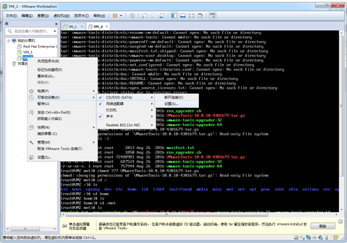 无桌面的linux安装VMWare Tools配置教程