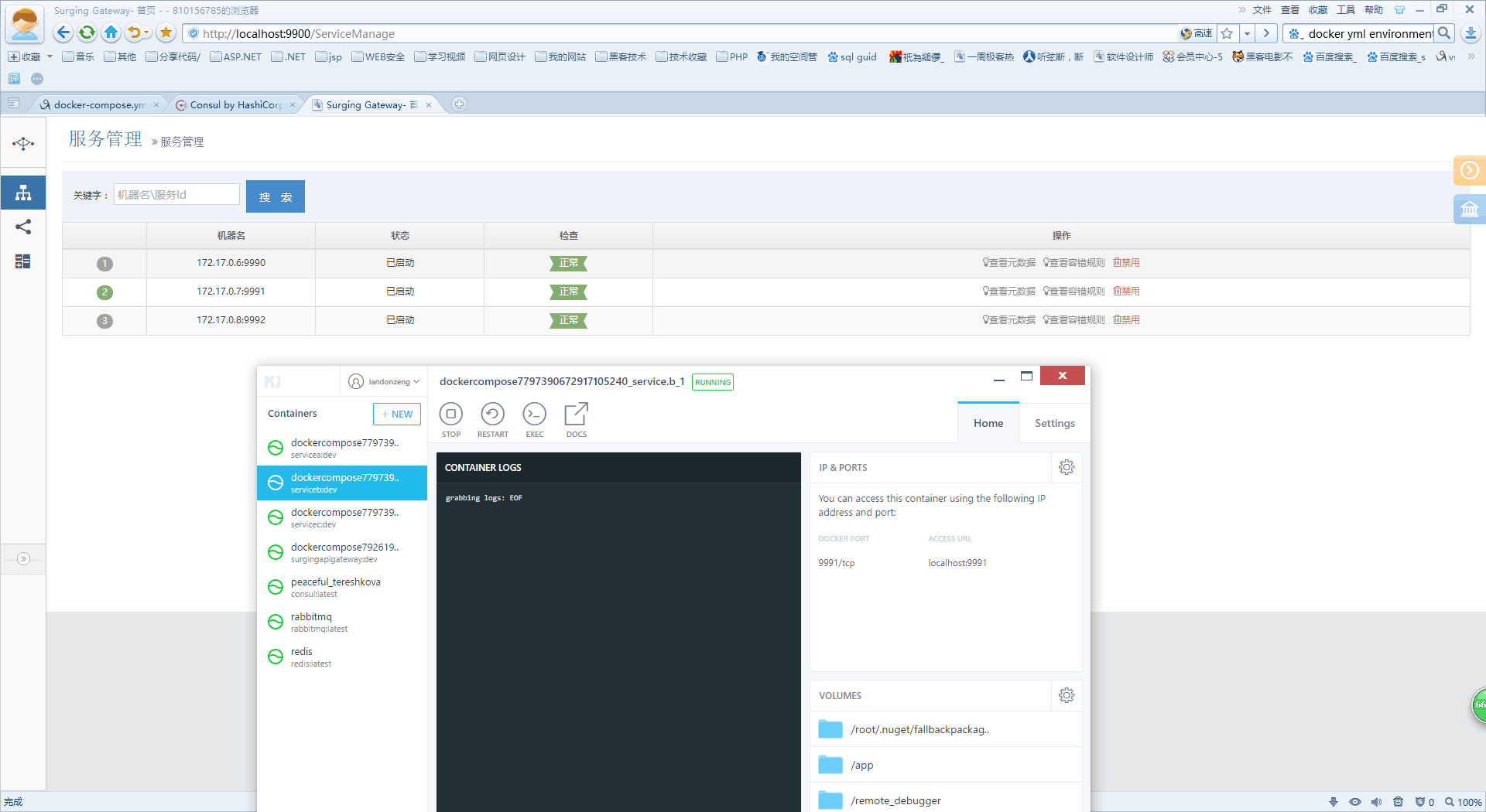 .netcore 使用surging框架发布到docker