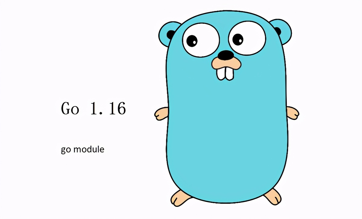 Golang 1.16中Module机制更新