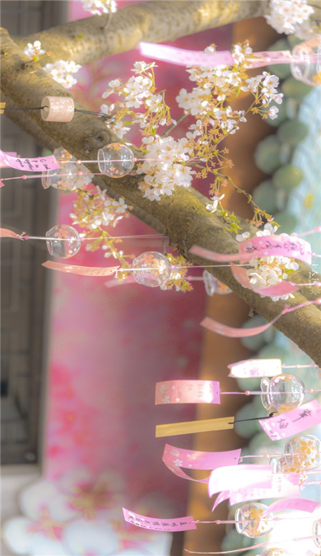 春季浪漫樱花的高清有意境的壁纸图片 每想念一次春天枝头就攒了一朵花开