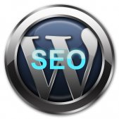 WordPress搜索引擎优化提示：15个步骤帮你在30天内提高网站排名