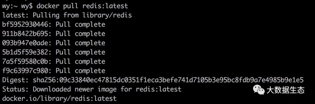 在Docker中使用Redis的步骤详解