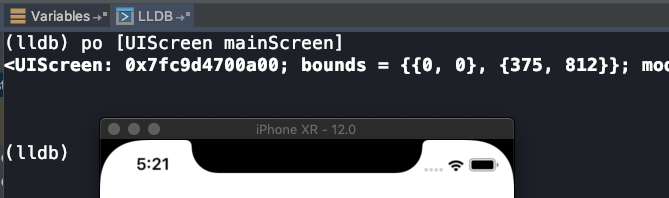适配iPhoneXS max和iPhoneX R的方法示例