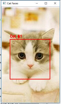 python调用opencv实现猫脸检测功能