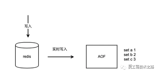 Redis 持久化是如何做的？一文聊聊 RDB和AOF对比分析