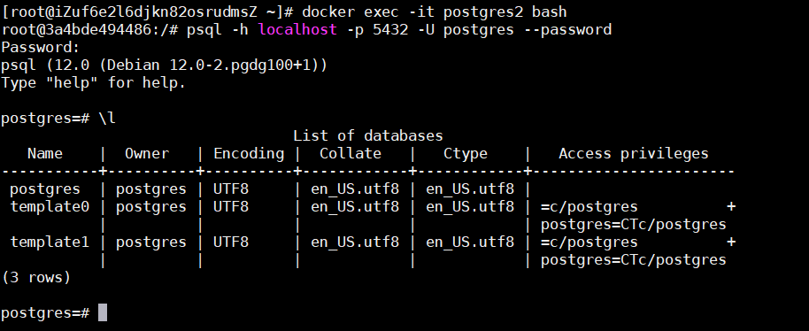 docker安装并持久化postgresql数据库的操作步骤