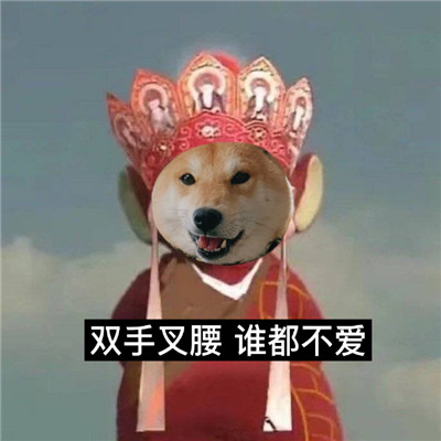 柴犬版新西游记搞笑表情包 2021最新版的热门表情合集