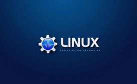 Linux 5.14 将支持 OpenPOWER Microwatt Soft CPU 内核
