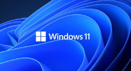 win11怎么打开IE浏览器 windows11的ie兼容性视图设置在哪里？
