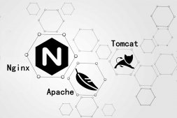 关于Nginx、Apache、Tomcat三个WEB服务器的区别和认知