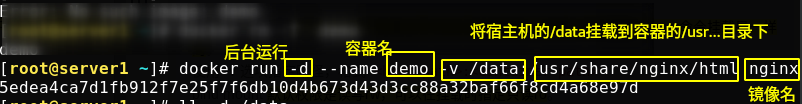 Docker中数据卷(volume)管理的两种方式