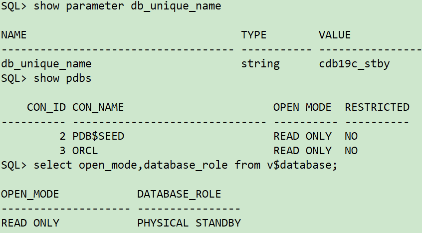 DBCA命令行搭建Oracle ADG的流程