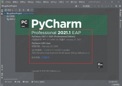 pycharm2021激活码使用教程(永久激活亲测可用)