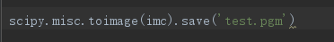 Python使用scipy保存图片的一些注意点