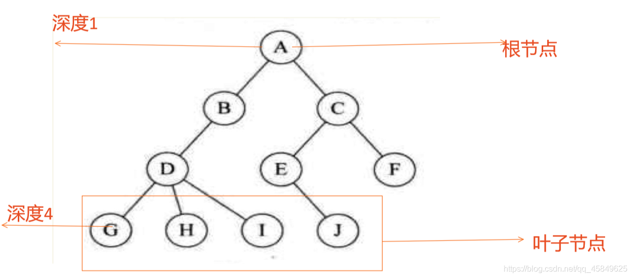 C语言二叉树与堆的概念与实现