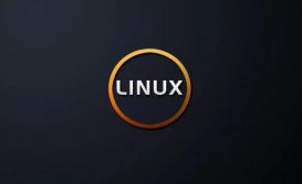 Linux 内核 2021：Linus Torvalds 最多产，commit 数降至 73.7k