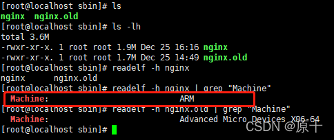 nginx rtmp模块编译 arm版本的问题