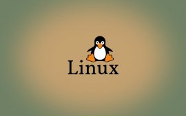 是什么让 Linux 成为可持续的操作系统