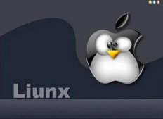 Linux 开发人员讨论弃用和删除 ReiserFS