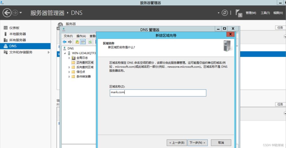 教你搭建dns服务器(图文教程)