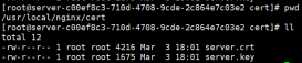 Nginx配置ssl实现https的全过程记录