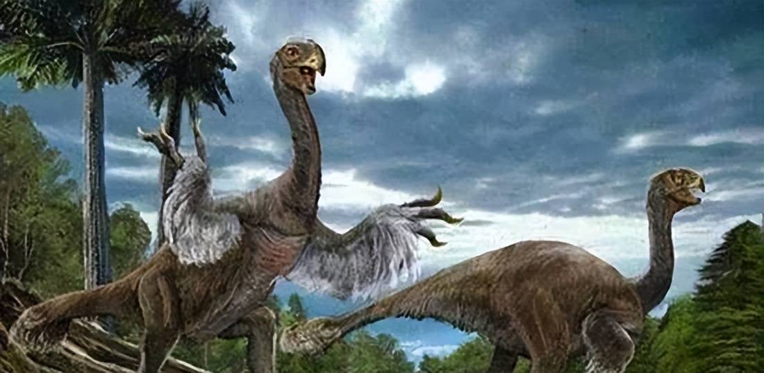 科莫多龙和恐龙非常相似，它是恐龙后代吗？