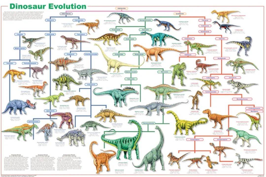什么？我们仍然生活在恐龙时代！