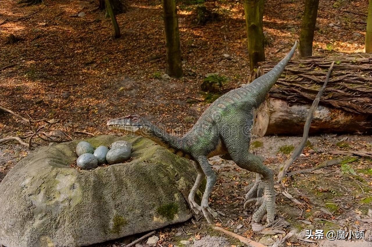 侏罗纪世界：我们能和恐龙一起生活吗？