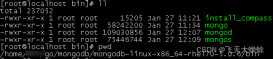 mongodb linux下集群搭建过程